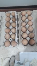 Título do anúncio: Ovos de galinha da angola.