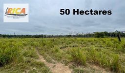 Título do anúncio: Sítio à venda, com 50 hectares no município de Canutama/AM
