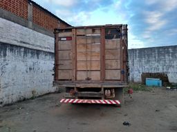Camionete F4000