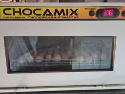 Título do anúncio: Vendi se uma Chocadeira pra 240 Ovos.. da Chocamix 