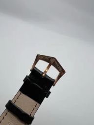 https://img.olx.com.br/thumbs256x256/07/075304165892016.jpg