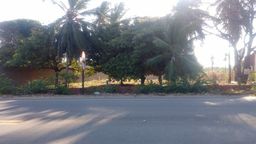 https://img.olx.com.br/thumbs256x256/08/082230757103415.jpg