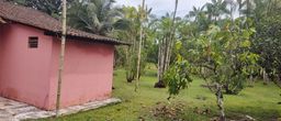 https://img.olx.com.br/thumbs256x256/09/092287038272497.jpg