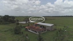 Título do anúncio: Fazenda no Pará - Santa Maria - 312 ha (64 alq)