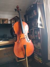 Título do anúncio: violoncelo Decorativo