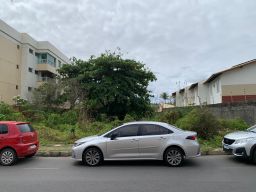 https://img.olx.com.br/thumbs256x256/10/101593150762045.jpg