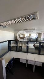 https://img.olx.com.br/thumbs256x256/10/101643548443672.jpg