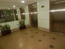 https://img.olx.com.br/thumbs256x256/10/102526160407830.jpg