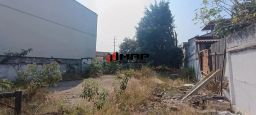 https://img.olx.com.br/thumbs256x256/10/102542166645723.jpg