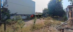 https://img.olx.com.br/thumbs256x256/10/102547760908208.jpg