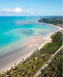 Título do anúncio: Ótimo Investimento e Alta Rentabilidade, nesse Paraíso em Japaratinga - Alagoas