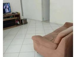 https://img.olx.com.br/thumbs256x256/10/103508633367828.jpg