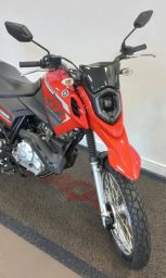 https://img.olx.com.br/thumbs256x256/10/103533728932239.jpg