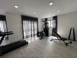 https://img.olx.com.br/thumbs256x256/10/103557634794805.jpg