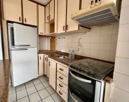 https://img.olx.com.br/thumbs256x256/10/103565769216528.jpg