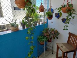 https://img.olx.com.br/thumbs256x256/10/104584648959425.jpg