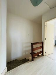 https://img.olx.com.br/thumbs256x256/10/106530042842167.jpg