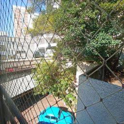 https://img.olx.com.br/thumbs256x256/10/106533288619062.jpg