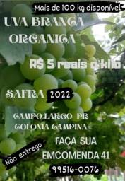 Título do anúncio: Uva Branca  organica 