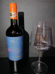 Título do anúncio: vinho yali reserva carmenere + taça