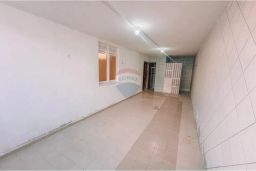 https://img.olx.com.br/thumbs256x256/10/107504161227347.jpg