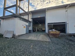 https://img.olx.com.br/thumbs256x256/10/107632787533436.jpg
