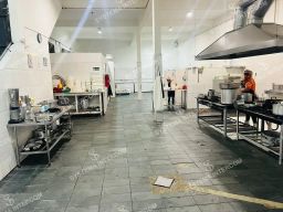https://img.olx.com.br/thumbs256x256/10/108604660947363.jpg