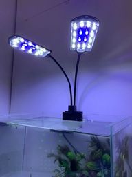 Título do anúncio: Luminária Soma X7 15W para aquários Branca e Azul