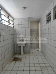 https://img.olx.com.br/thumbs256x256/11/110517761915171.jpg