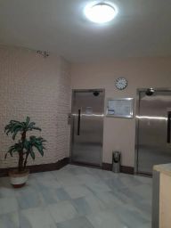 https://img.olx.com.br/thumbs256x256/11/110575408147579.jpg