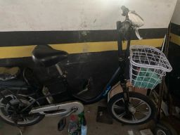 https://img.olx.com.br/thumbs256x256/11/110596848835496.jpg