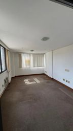 https://img.olx.com.br/thumbs256x256/11/111543143202892.jpg