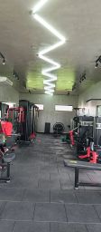 https://img.olx.com.br/thumbs256x256/11/111561285099378.jpg