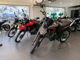 https://img.olx.com.br/thumbs256x256/11/111595504307576.jpg