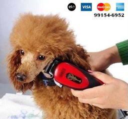 Título do anúncio: Kit Maquina Tosa Profissional Cães Gatos Pet Cortar Pelos, entregamos