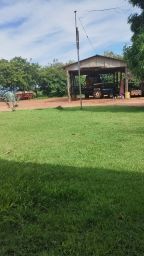 https://img.olx.com.br/thumbs256x256/11/112564156392346.jpg