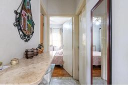 https://img.olx.com.br/thumbs256x256/11/113535405389146.jpg