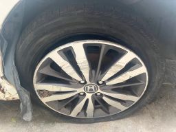 https://img.olx.com.br/thumbs256x256/11/113539401143390.jpg