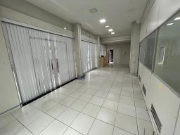 https://img.olx.com.br/thumbs256x256/11/113552405326719.jpg