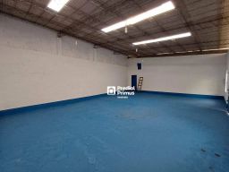 https://img.olx.com.br/thumbs256x256/11/113573642003794.jpg