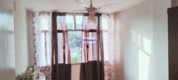 https://img.olx.com.br/thumbs256x256/11/114508390389147.jpg