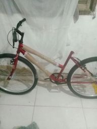 https://img.olx.com.br/thumbs256x256/11/114537516020763.jpg