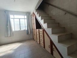 https://img.olx.com.br/thumbs256x256/11/114544409586292.jpg