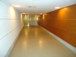 https://img.olx.com.br/thumbs256x256/11/114583283239673.jpg