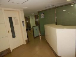 https://img.olx.com.br/thumbs256x256/11/114585884020496.jpg