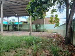 https://img.olx.com.br/thumbs256x256/11/115538392528011.jpg