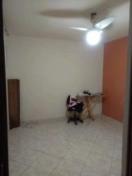 https://img.olx.com.br/thumbs256x256/11/115594766221530.jpg
