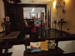 https://img.olx.com.br/thumbs256x256/11/116523162401906.jpg