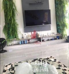 https://img.olx.com.br/thumbs256x256/11/116534761131960.jpg