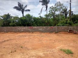 https://img.olx.com.br/thumbs256x256/11/116538582290418.jpg